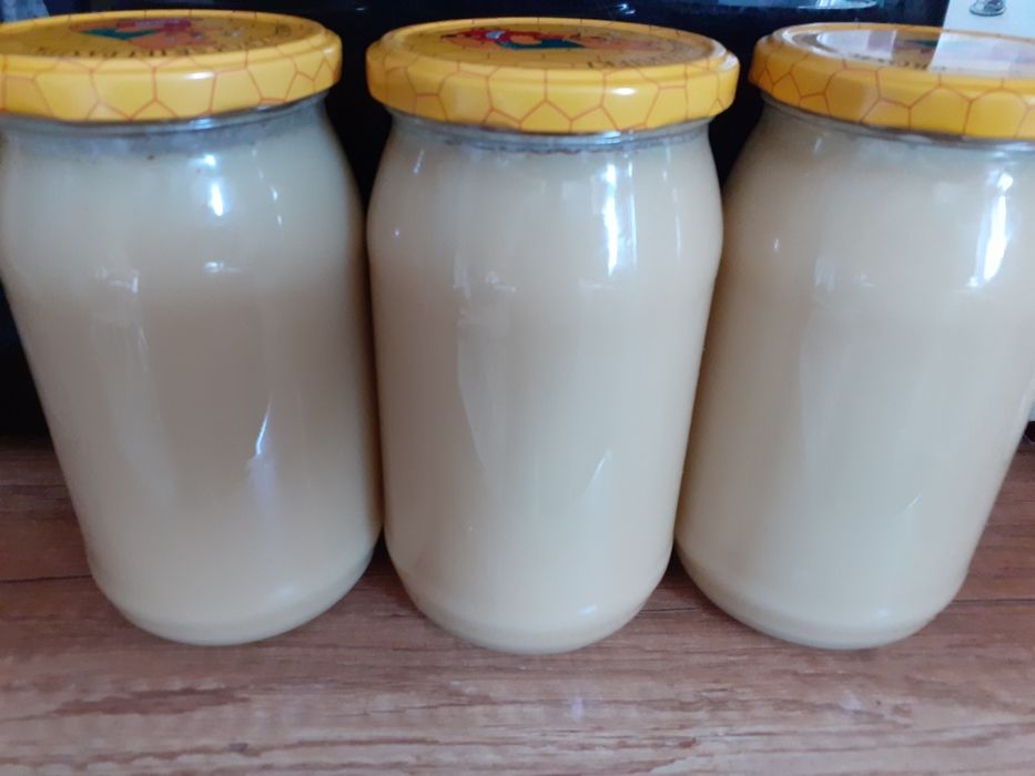 Miód rzepakowy 2023