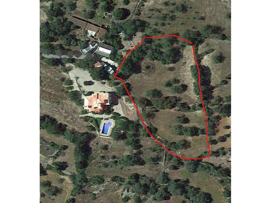 Terreno Rústico com Produção de Alfarrobeiras em Localização Privil...