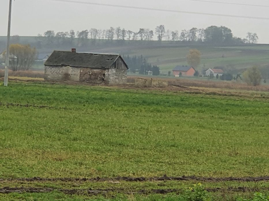 Urokliwe siedlisko z potencjałem – duża działka 2500 m² w Sielcu Biskupim - Widok 3