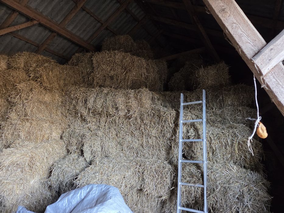 Sprzedam słomę w kostkach