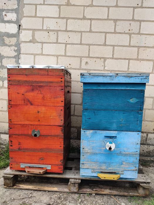 Продам   Вулики!