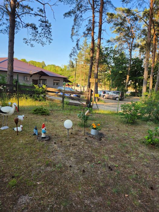 Domki letniskowe nad jeziorem Sarcz w Trzciance Wolne terminy