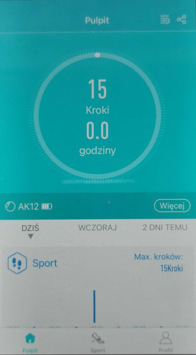 Smart watch Artnico GWB006 / AK12 - srebrna bransoleta