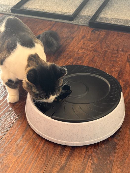 Trixie Automatyczny dozownik dla kota psa