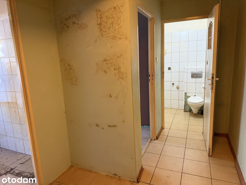 Mieszkanie 1-pokojowe z oddzielną kuchnią do remontu - Widok 2