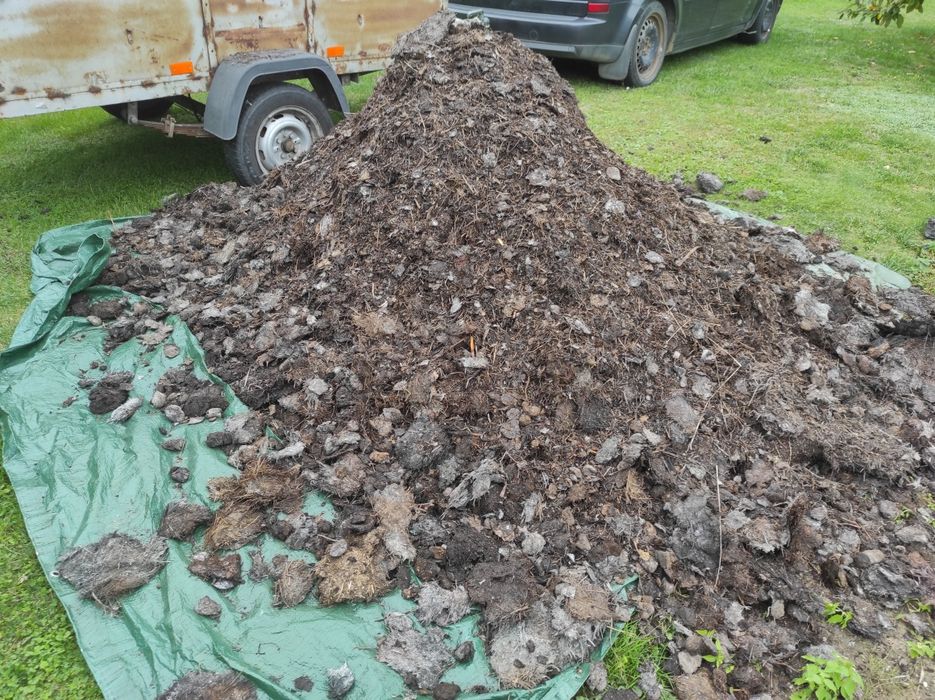 Obornik koński / Gnój / Nawóz naturalny z dostawą – idealny do ogrodu i na działkę!