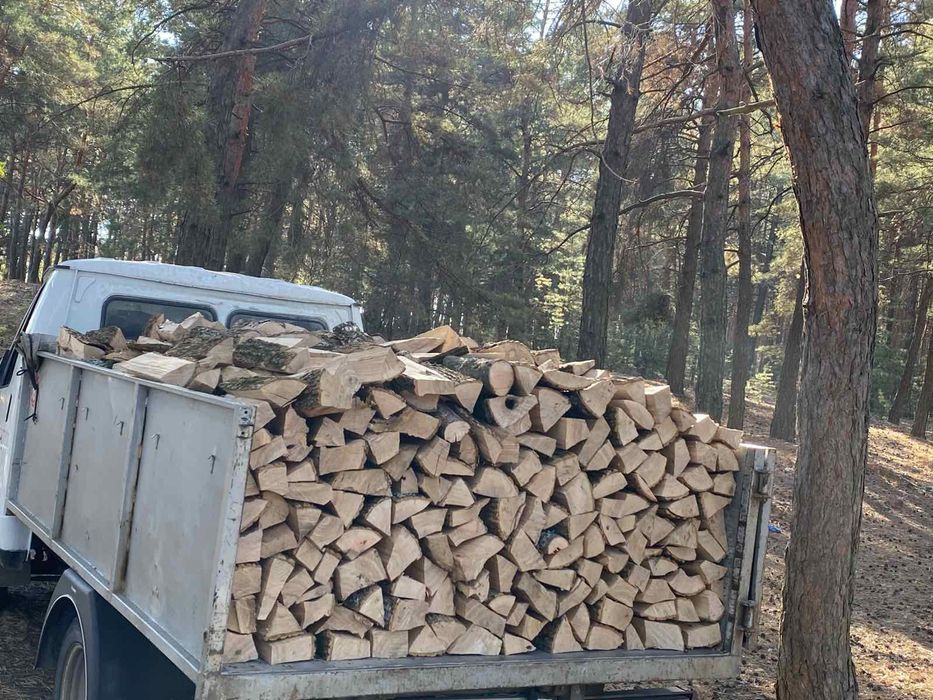 Продам дрова дубовые