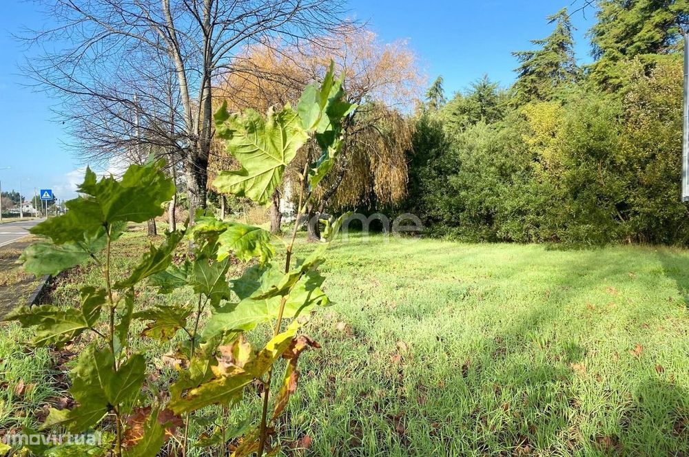 Loteamento Ouro Verde - Lote 8