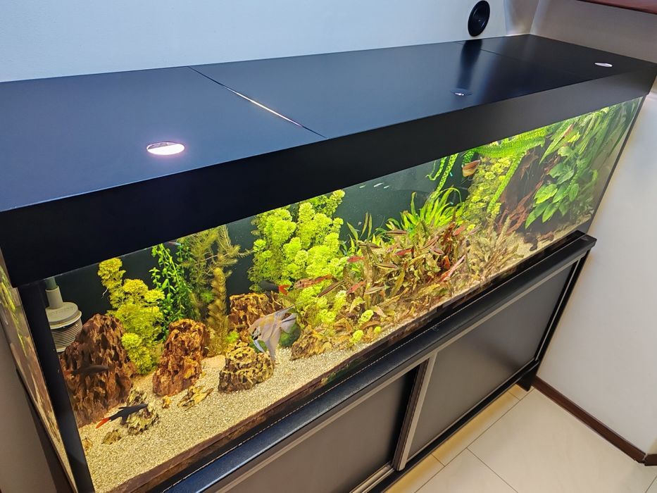 Akwarium 600l z szafką