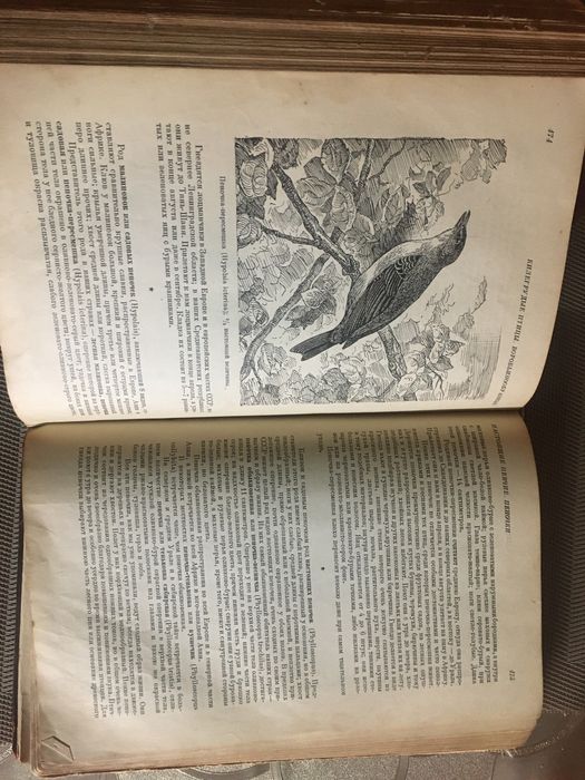 Книги жизнь животных  Брема .