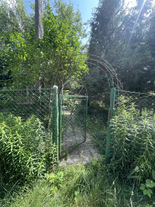 Продам дачу Чисті пруди біля річки