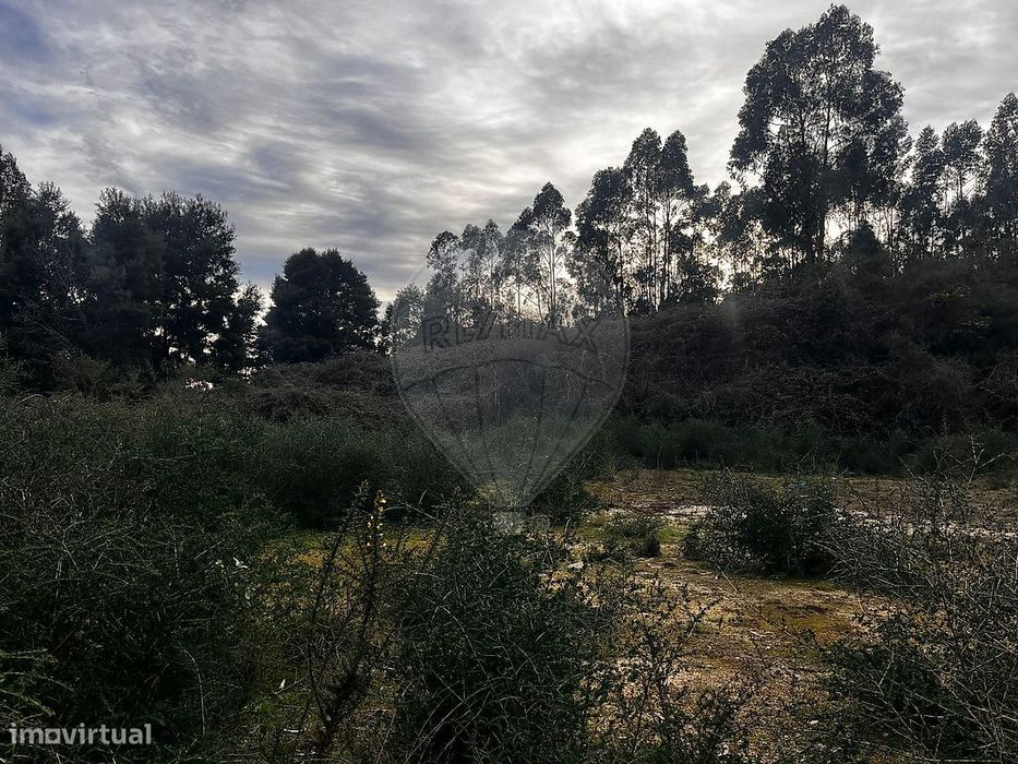 Terreno  para venda