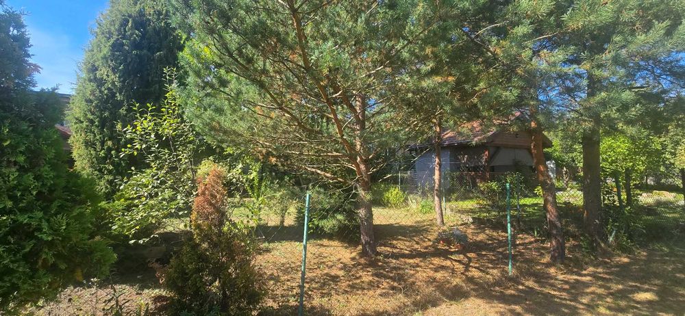 Działka ROD Wrzos Gliwice ogłoszenie ważne do 10 października
