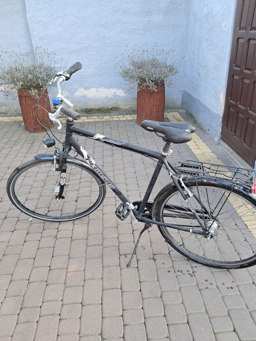 Rower męski Pegazus