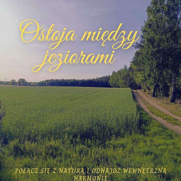 Działki rekreacyjne  w Powidzkim Parku Krajobrazowym