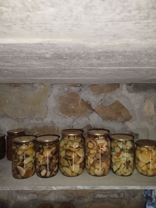 Гриби мариновані білі і асорті