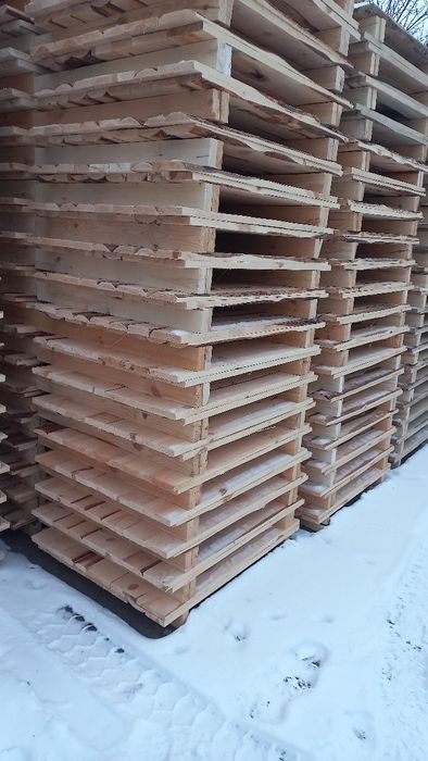 Щити, для равликів