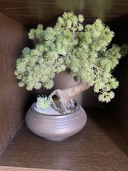 Bonsai artificial 35x35cm Carcavelos E Parede • OLX Portugal