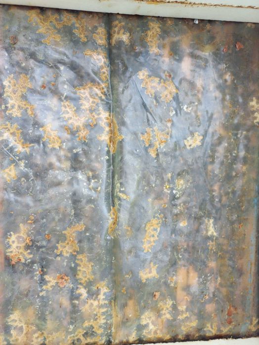 Pszczoły Rodziny pszczele ramka wielkopolska rasa buckfast-krainka