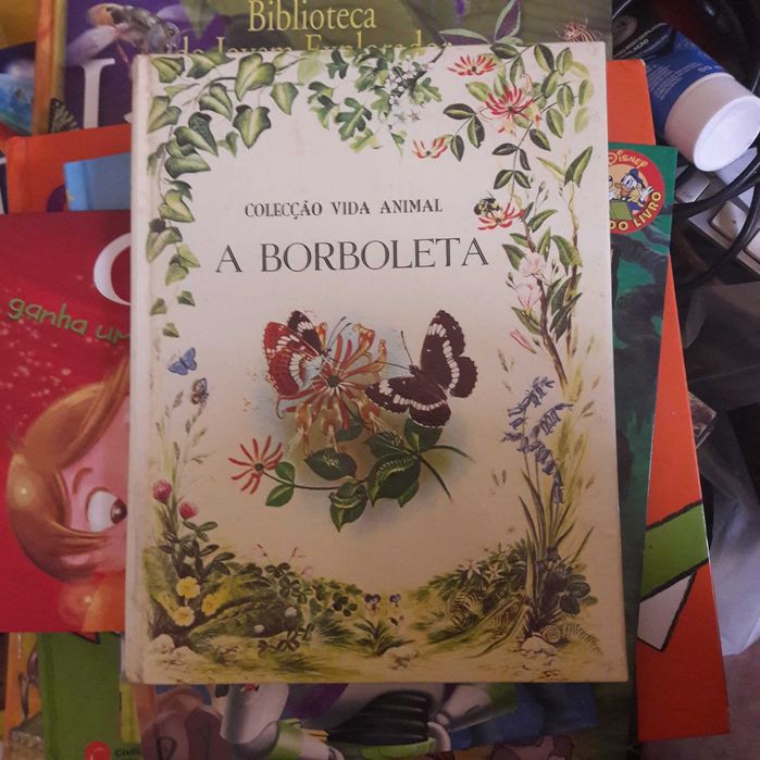 Borboletas livro raro ilustrado lindo angela sheehan maurice pledger usado barato