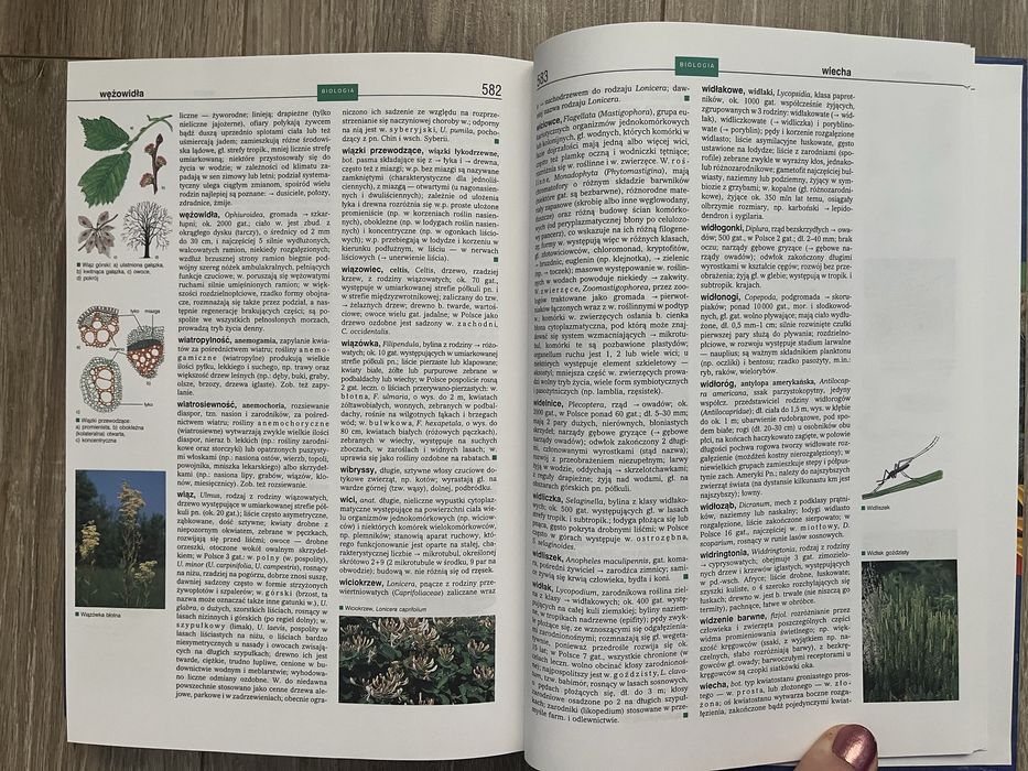 Biologia encyklopedia szkolna PWN