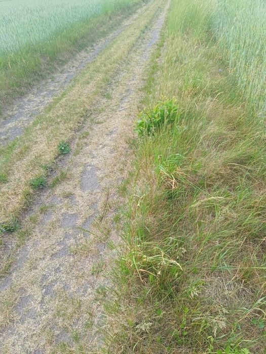 Działki z możliwością budowy - Więcej