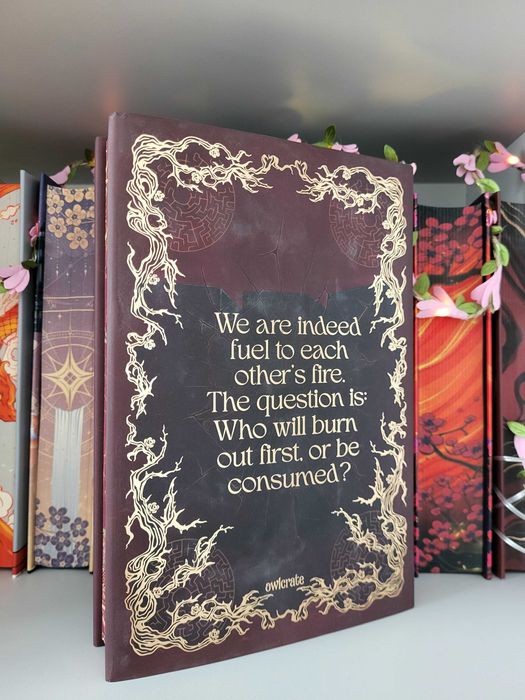 OwlCrate - Exquisite Ruin - AdriAnne May (NOWA)