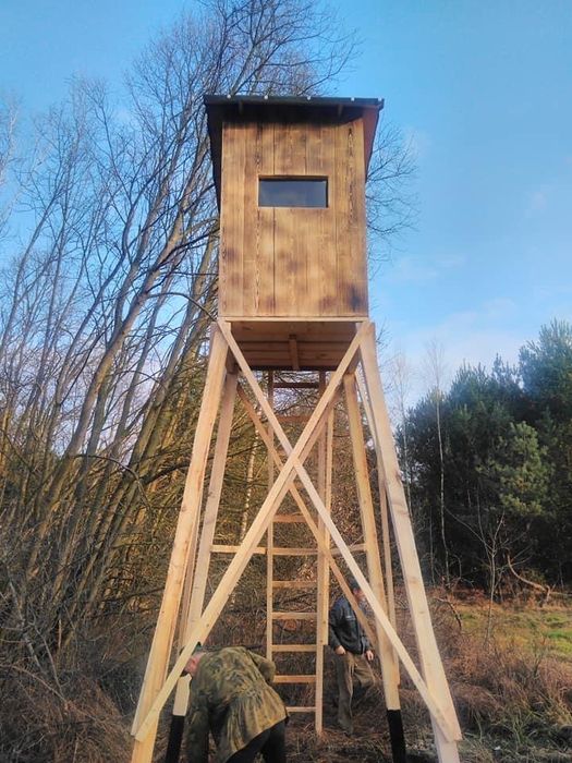 Ambona na dzika, Jelenia, sorka ASF