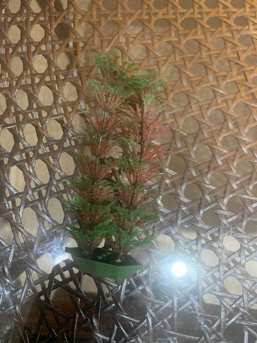 Rośliny akwariowe sztuczne