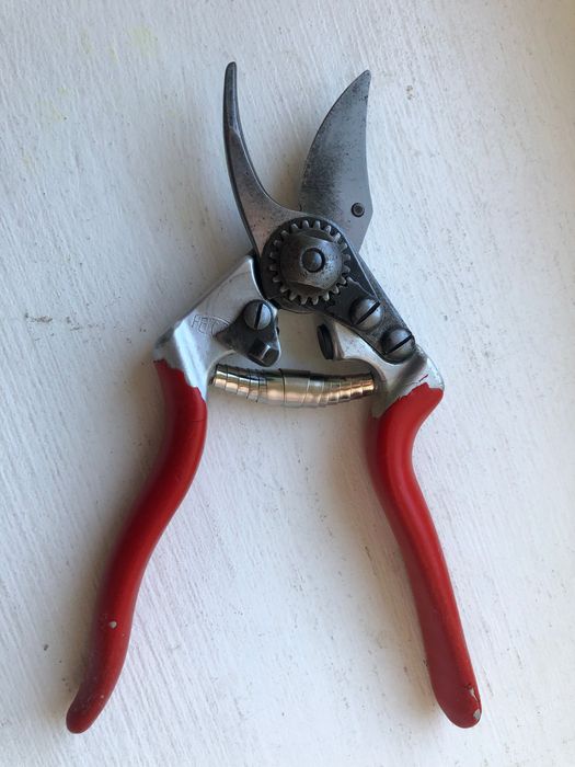 Секатор професійний Felco 6