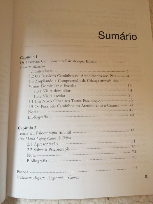 O atendimento infantil na Ótica fenomenológico-existencial