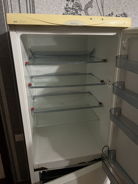 Холодильник Snaige + морозильна камера   - Ціна Договірна