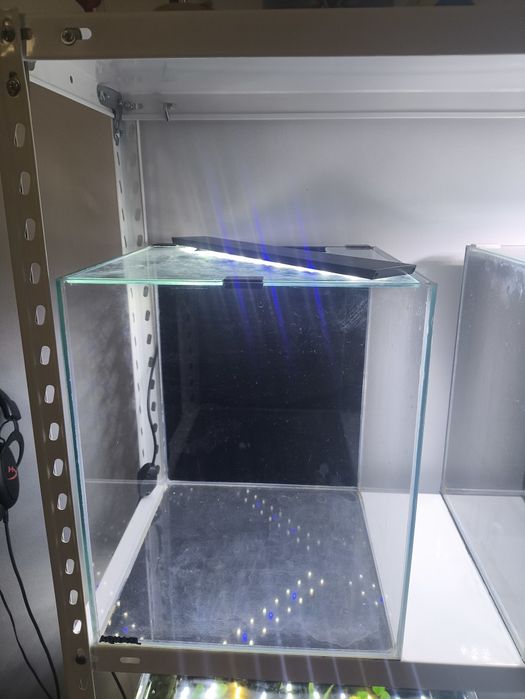 Kit Aquário AquaEl 31l para camarões ou peixes