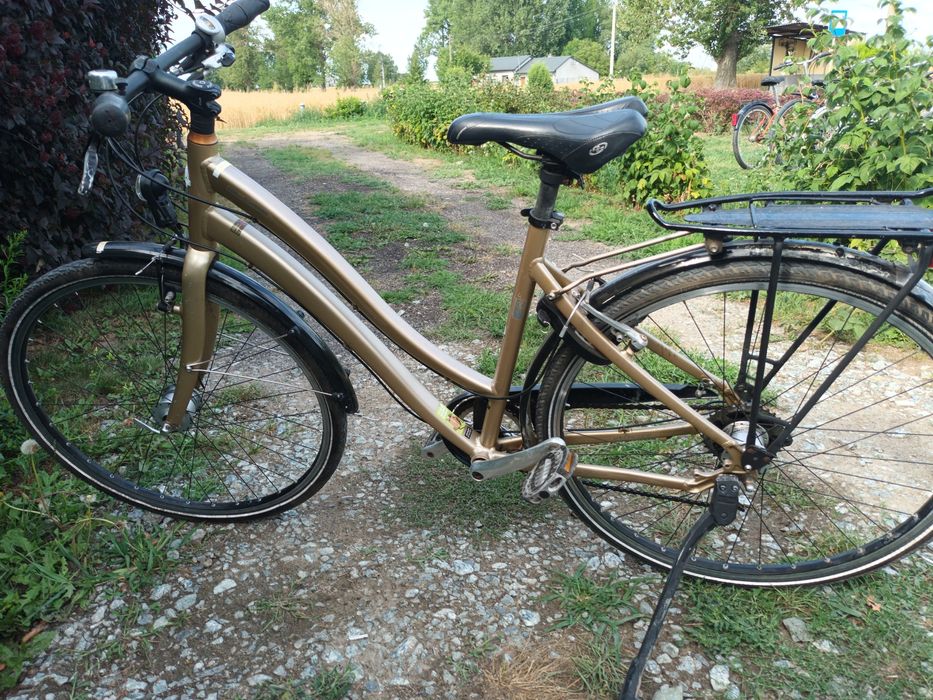 Sprzedam rowery Trek i Globe aluminium