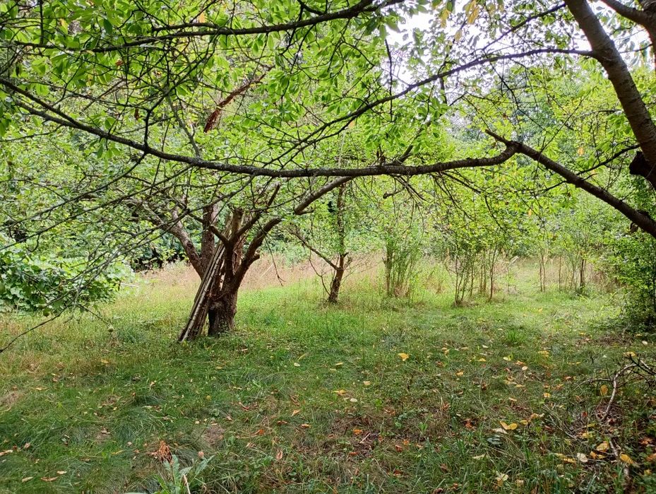 Piękna działka budowlana z planem miejscowym.