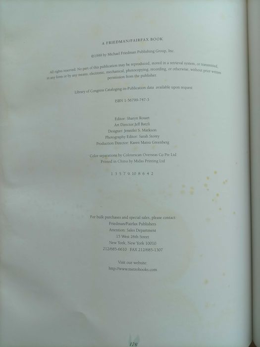 Livro "TULIPS" Coleção de fotos de Tulipas com citações em Inglês