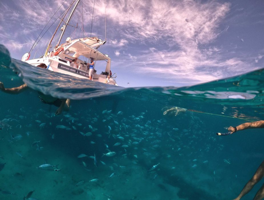Dome (cúpula) Gopro Hero 8 Black
