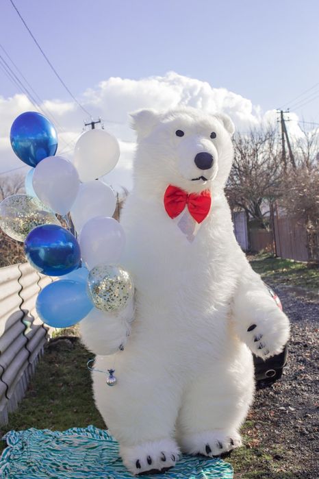 Аниматор Мишка. Білий ведмедик. Мишка. Зайка. Пёс Патрон. Стриптиз.