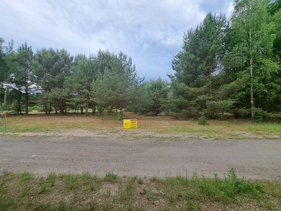 Dzialka budowlana 1057 m² Ojrzen WZ dom i budynek gosp - Widok 3