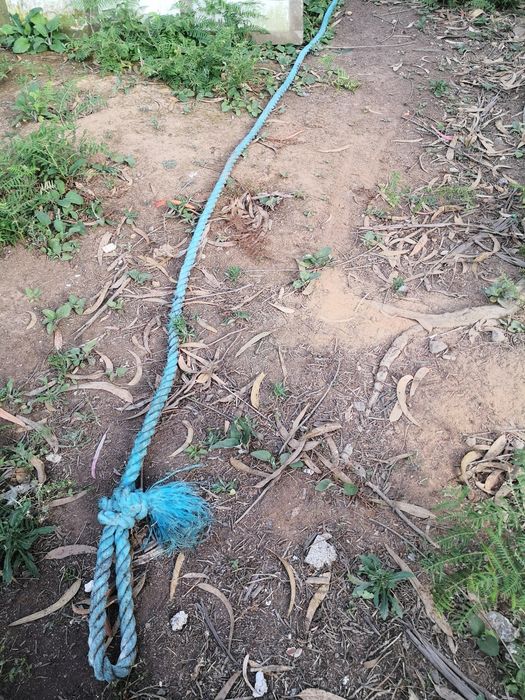 Vendo corda grossa para deitar madeira abaixo