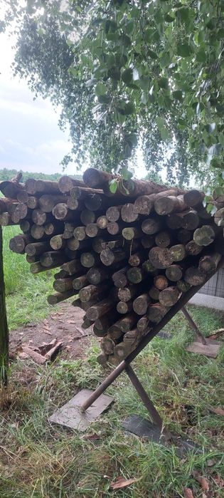 Stęple/baliki sosnowe