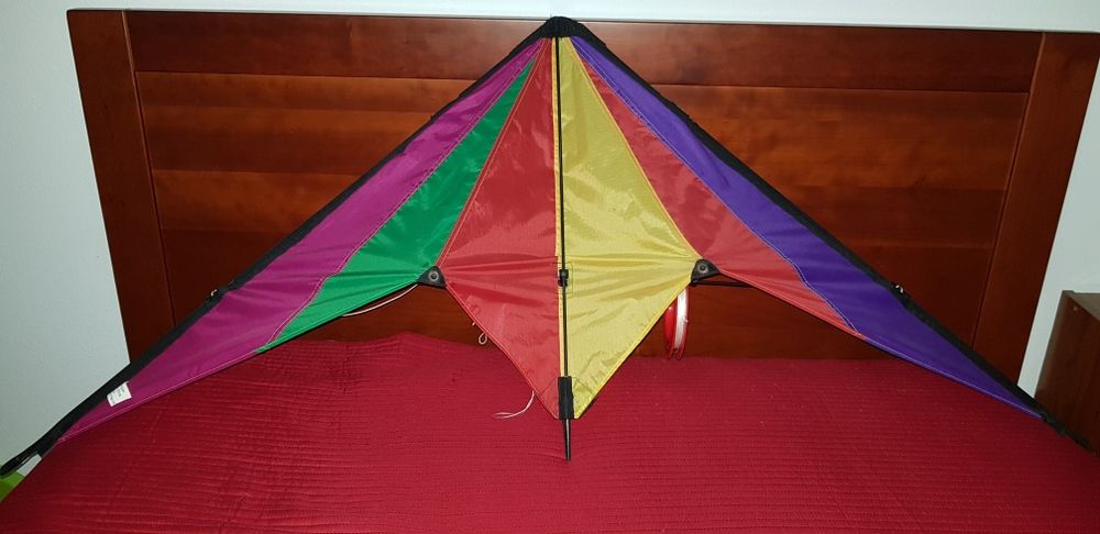 Papagaio de Manobras Acrobático – Cores Vibrantes (Como Novo)