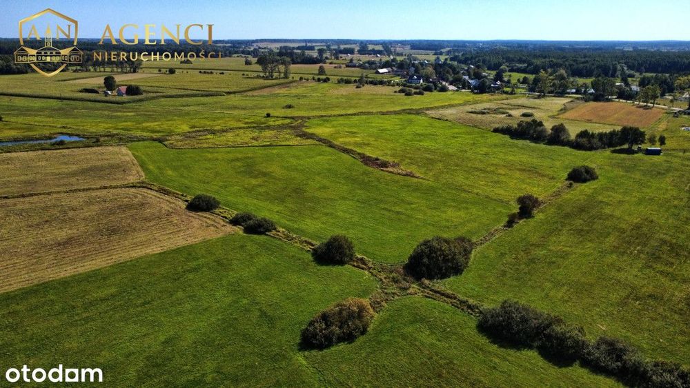 ** Topilec * 1,05 ha * WZ w toku **