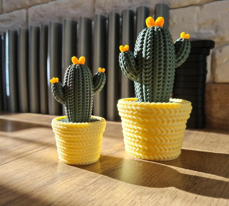 Кактуси         .