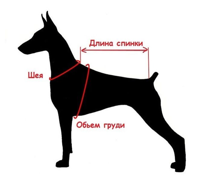 Куртка для собаки