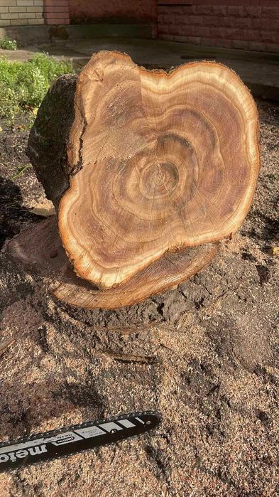 Видалення (спил) дерев | Розпил на цурки