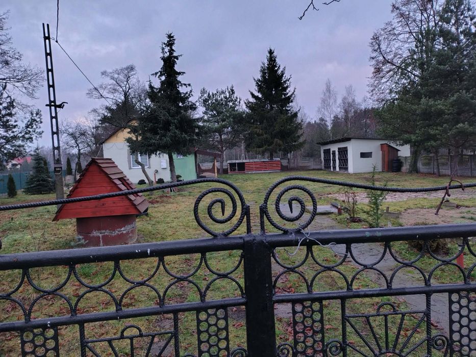 Siedlisko w Łosinnym, blisko Wyszkowa