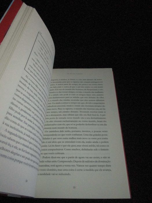 Livro A Queda dos Machos Cartas às minhas amigas José Luís Pio Abreu