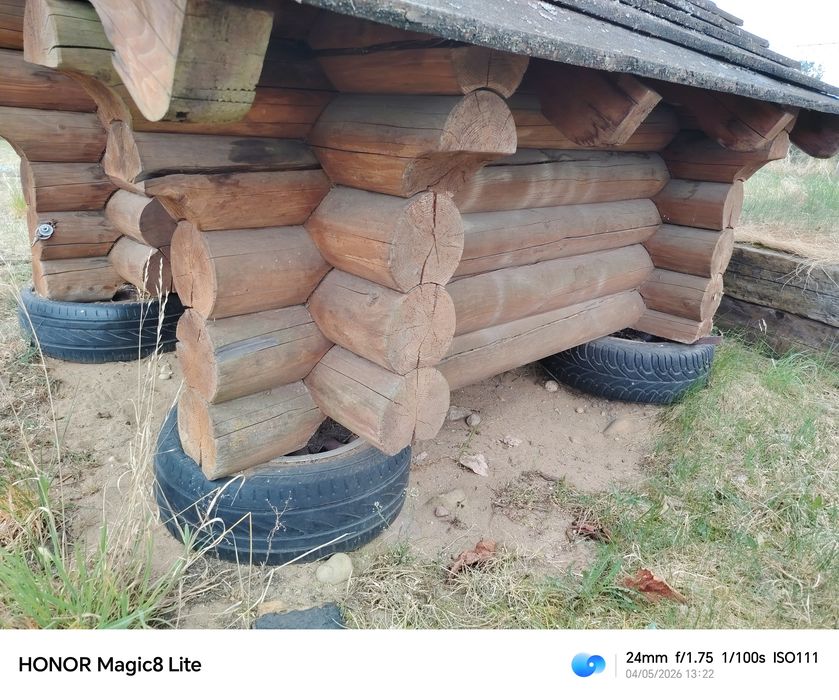 Buda dla psa duże