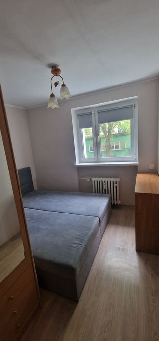 Do wynajęcia mieszkanie